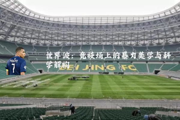 世界波：竞技场上的暴力美学与科学解构